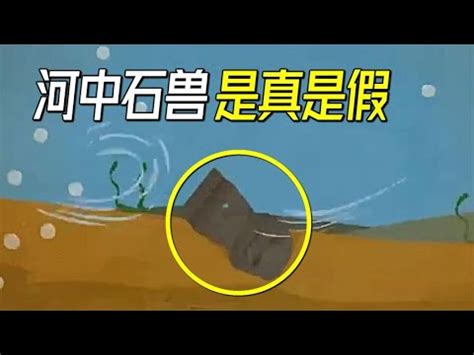 河中石獸工作紙答案